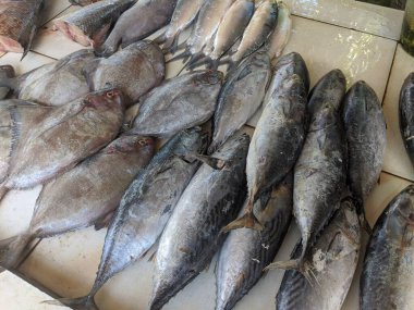 Yol kenarındaki pazarda satılık deniz balığı yığını.