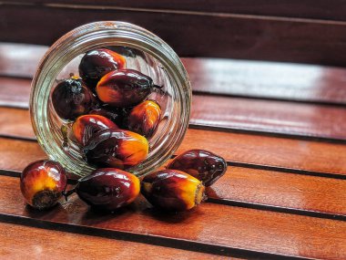 Yenilebilir yağ için palmiye çekirdekleri