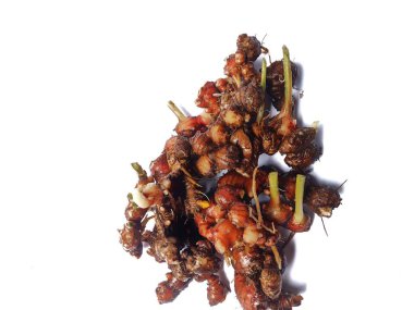 Beyaz bir arka planda çuval içinde zencefil