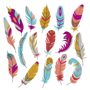 Beyaz arka planda izole edilmiş dekorlar için renkli tüyler seti. Renkli tüylerin çeşitli düz ögeleri. Kuş tüyü ve dekorasyon konsepti