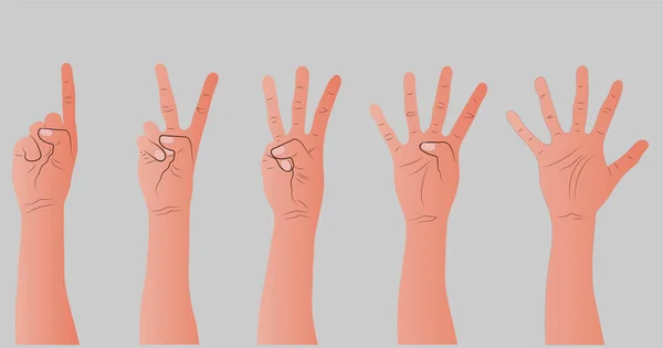 Ruce Počítají Tím Ukazují Prsty Čísla Zobrazená Rukama Různorodost Moderních — Stockový vektor