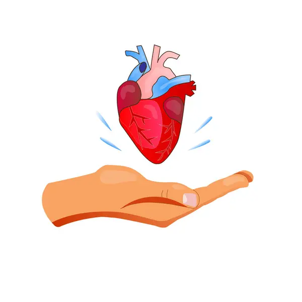 Donación Corazón Ilustración Vectorial Plana Dame Una Mano Con Símbolo — Archivo Imágenes Vectoriales