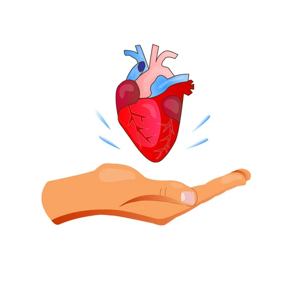 ハート寄付フラットベクターイラスト ハートシンボルで手を差し伸べる その日のドナーカード 移植コンセプトのための実行可能な臓器を作成するためのバイオエンジニアリング技術 — ストックベクタ