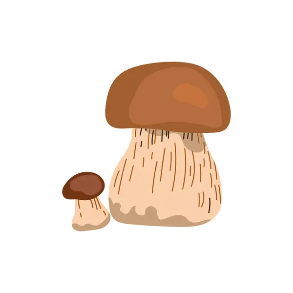 Vector Illustration Porcini Mushrooms White Organic Vegetarian Object Menu Label — Stock Vector