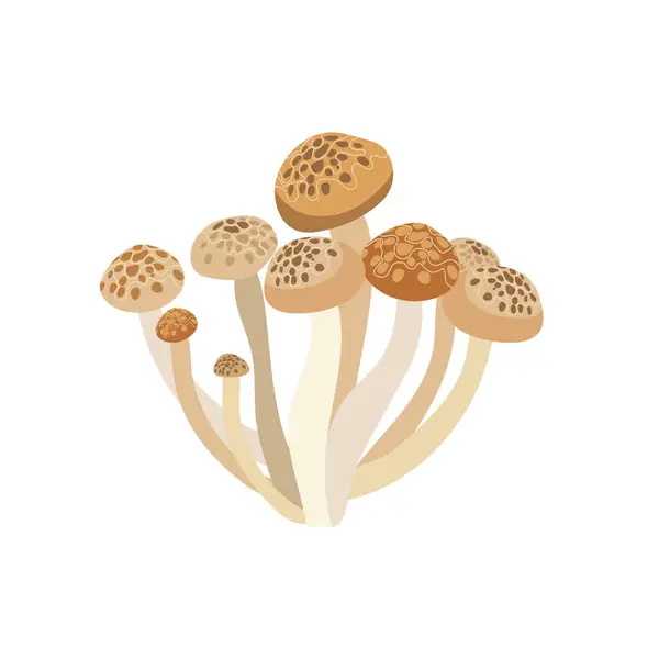 Shimeji Mushrooms White Background Shimeji Mushroom Vector Flat Illustration — Stock Vector