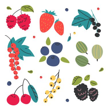 Çeşitli böğürtlenlerin renkli karalamaları. Düz ikonlar - çilek, kiraz, üzümler, üzümler, ahududular, böğürtlenler, yabanmersinleri. Vektör el çizimi resimleme.