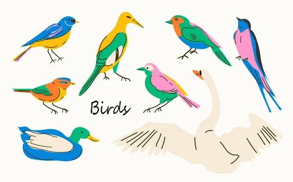 Birds collection. Colorful hand-drawn bird. Set of spring birds. Different birds. Images are isolated on white. Vector illustration.