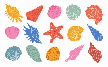 deniz kabukları soyut arkaplan, doku