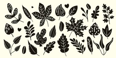 İzole edilmiş sonbahar yaprakları düz bir şekilde. Botanik elementli sonbahar sanat baskısı. Çocuk tasarımı, kumaş, ambalaj, tekstil, duvar kağıdı. Siyah ve beyaz 