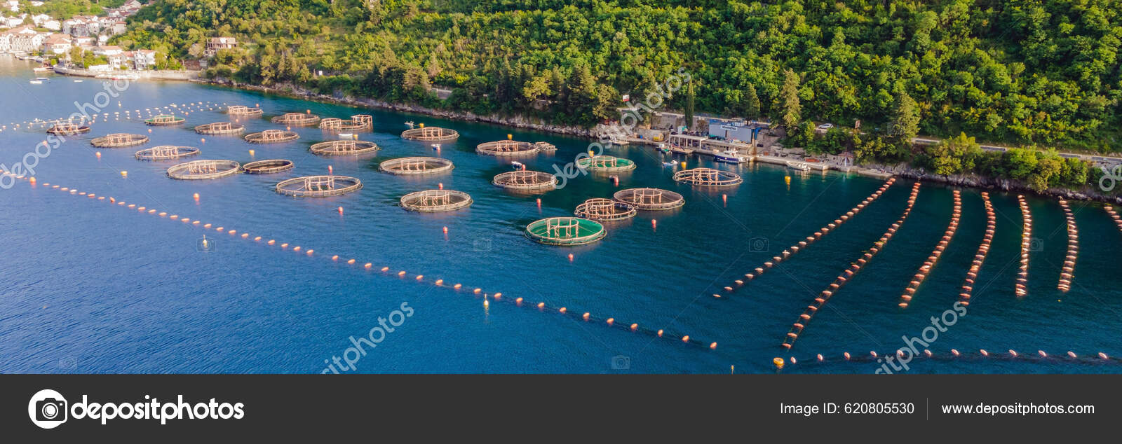 Oyster Farm Mediterranean Montenegro Kotor Banner Long Format Stock
