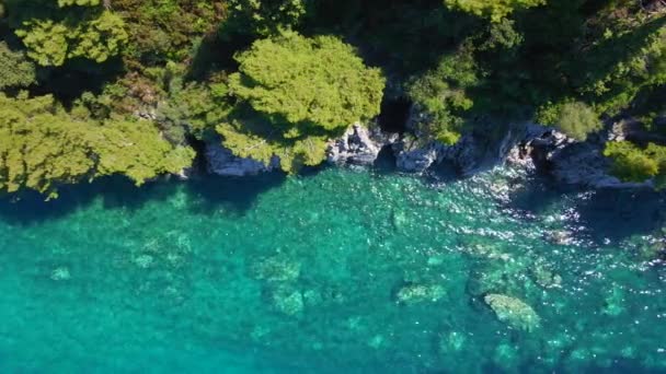 空中スローモーションビデオ 美しいきれいな海と松の木で覆われた岩の海岸でトップダウンビュー — ストック動画