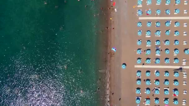 Letecké Zpomalení Pohled Shora Krásnou Pláž Průzračnou Modrou Vodou Raws — Stock video