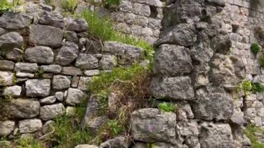 Eski barın harabelerinin yavaş çekim videosu ya da Stari Grad. Baro şehrine yakın eski bir yerleşim yeri yok edildi. Karadağ 'ın tatil beldeleri.