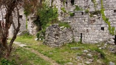 Eski barın harabelerinin yavaş çekim videosu ya da Stari Grad. Baro şehrine yakın eski bir yerleşim yeri yok edildi. Karadağ 'ın tatil beldeleri.
