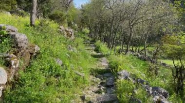 Hiking in mountains above the city of Kotor. Old road covered with flat limestone cobblestones. Travel to Montenegro concept.