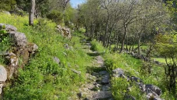 Hiking Mountains City Kotor Old Road Covered Flat Limestone Cobblestones — Wideo stockowe