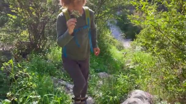 Little Boy Hiking Top Castle City Kotor Montenegro Ancient Rocky — Vídeo de Stock