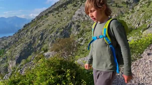 Little Boy Walking Top Castle City Kotor Montenegro Ancient Rocky — Wideo stockowe