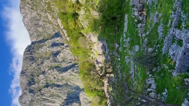 Vertical Video Hiking Mountains City Kotor View Mountains Saint John — Wideo stockowe