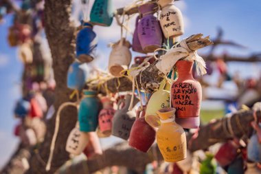 Dilek ağacı. Üzerinde yazılar olan küçük renkli sürahiler, bir ağacın dallarında sallanan dilekler, kum kalıntıları ve mavi gökyüzü..