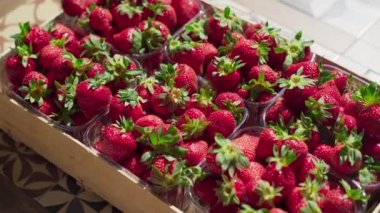 A wooden box filled with freshly packaged strawberries captures the essence of farm-to-table freshness. The perfect representation of natural and wholesome, the video showcases the vibrant red