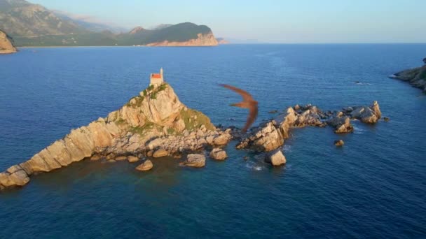 スローモーション空撮ビデオ スヴェタ ネデリャ Sveta Nedelja ペトロヴァツ市の近くの海に浮かぶ小さな島のクリスチャン教会島の上をたくさんのマーケットが飛んでいます — ストック動画