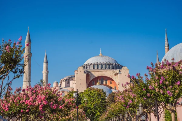 stock image Sunny day architecture and Hagia Sophia Museum, in Eminonu, istanbul, Turkey. Turkiye.