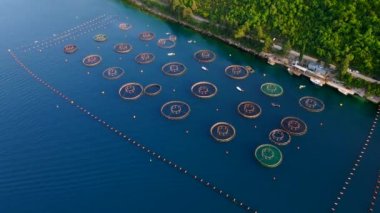 Sahilde, yumuşakçaların, balıkların ve karideslerin yetiştiği daire şeklinde ağ yapıları olan bir deniz çiftliği. Kamera çiftliğe kuşların bakış açısını gösteriyor. Benzersiz şekilleri ve desenleri vurguluyor.