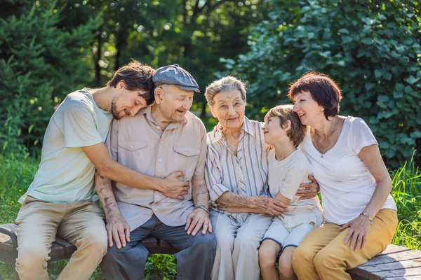 4世代の家族が公園で一緒に時間を過ごす お年寄りのカップル 真の感情と手と結合を保持するシニア夫と妻 — ストック写真