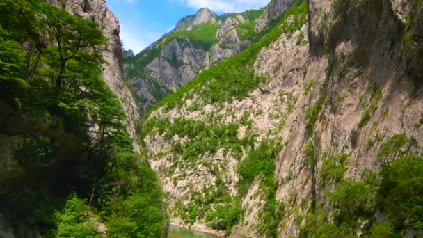 Aerial Video Stunning Moracha River Canyon Montenegro Soar Magnificent Natural — ストック動画