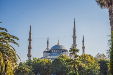 Sultanahmet Camii, sultanahmet camii, istanbul, Türkiye.