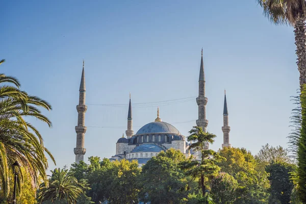 Sultanahmet Camii, sultanahmet camii, istanbul, Türkiye.