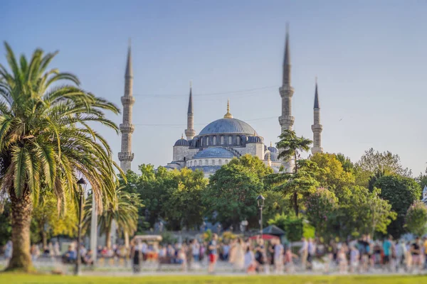 stock image The Blue Mosque Sultanahmet Camii Istanbul Turkey.