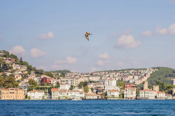 Una Foto Panorámica Del Estrecho Del Bósforo Estambul Turkiye — Foto de Stock
