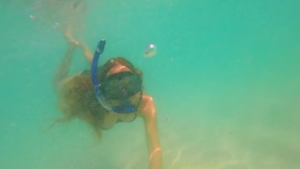 Hamile Bir Kadın Dalgalı Mavi Denizde Şnorkelle Yüzerken Sualtı Dünyasını — Stok video