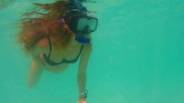 Een Zwangere Vrouw Verkent Onderwaterwereld Terwijl Snorkelt Levendige Blauwe Zee — Stockvideo