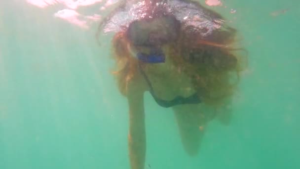 Ciężarna Kobieta Odkrywa Podwodny Świat Nurkując Tętniącym Życiem Błękitnym Morzu — Wideo stockowe