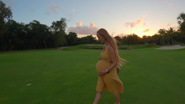 この魅惑的なスローモーションのストックビデオでは 妊娠中の女性が美しい夕日の魅惑的な色合いに照らされた活気のある緑のフィールドを優雅に歩いています 穏やかな雰囲気と女性たちは — ストック動画