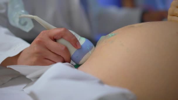 Ung Gravid Kvinna Besöker Läkare För Ultraljudsundersökning Läkaren Använder Ultraljudsmaskin — Stockvideo