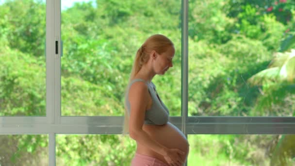このユーモラスなスローモーションビデオでは 妊娠中の女性が自宅の腹にスイカを吹き付け 妊娠の体重と経験を軽くシミュレーションしました この映像は — ストック動画