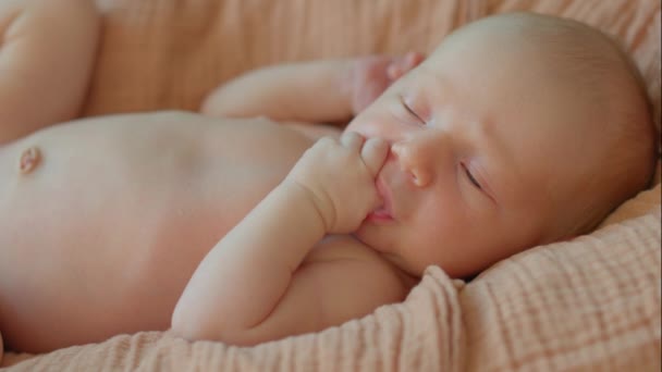 一个新生儿在特写镜头中被捕获 平静地躺在摇篮里 轻柔地吸吮着他的小指 几秒钟后 他睡着了 这段温馨的视频包含了 — 图库视频影像