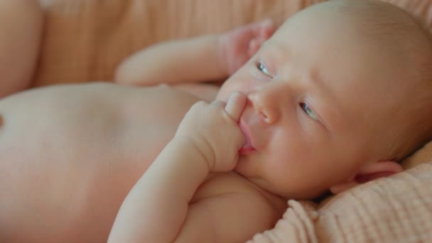 一个新生儿在特写镜头中被捕获 平静地躺在摇篮里 轻柔地吸吮着他的小指 这段温馨的视频包含了新生命宝贵的早期时刻 — 图库视频影像