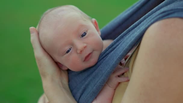 Niño Pequeño Recién Nacido Está Enclavado Cómodamente Cabestrillo Suave Para — Vídeo de stock
