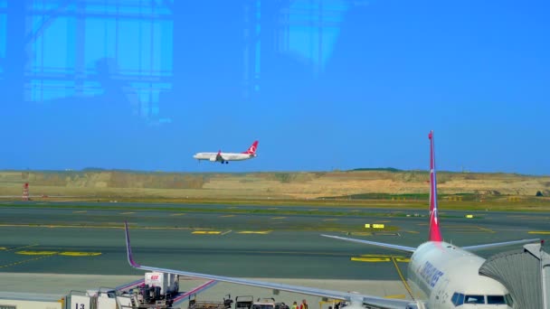 2022 Стамбул Турция Посадка Коммерческого Самолета Аэропорту Самолёты Turkish Airlines — стоковое видео