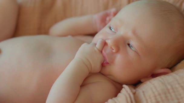Ett Nyfött Barn Fångas Närbild Ligger Lugnt Vagga Och Försiktigt — Stockvideo