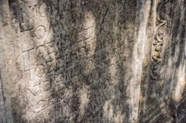 Termessos Antik Şehri 'nin Çarpıcı Antik Tiyatrosu. Hindi, her yere git..