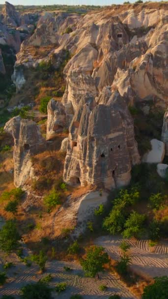 垂直录像 土耳其卡帕多西亚地区迷人的航材视频 房子被精美地刻在岩石上的山谷在下面展开 展现了它非凡的魅力 独特的 — 图库视频影像