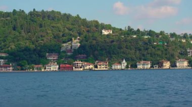 Boğaz 'ın dalgalanan sularının üzerinde zarif bir şekilde süzülen bir martı sürüsü. Uçuşları görkemli bir deniz zeminine karşı özgürlüklerini somutlaştırıyor.