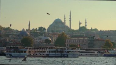 Istanbuls 'un tarihi kalbini gezip görkemli camileri, işlek feribot iskelelerini ve ufuk çizgisindeki martıların dansını yakalayacağız.