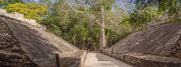 Coba Mexic Orașul Antic Mayan Din Mexic Coba Este Zonă fotografii de stoc fără drepturi de autor